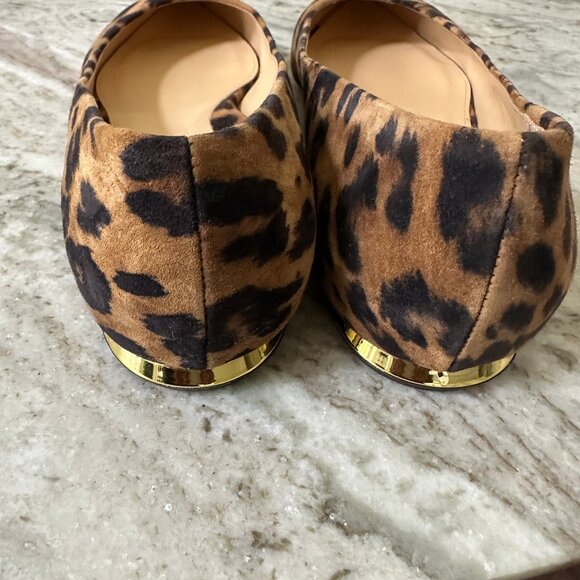 MARION PARKE Must Have Flats in Leopard, 38.5 ~ pre-owned - Picture 3 of 7
